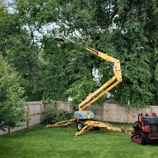 Trusted Queens Gate, PA Tree Services Experts