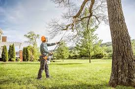 How Our Tree Care Process Works  in  Queens Gate, PA