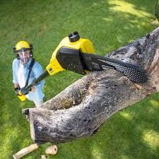 Best Lawn Mowing  in Queens Gate, PA