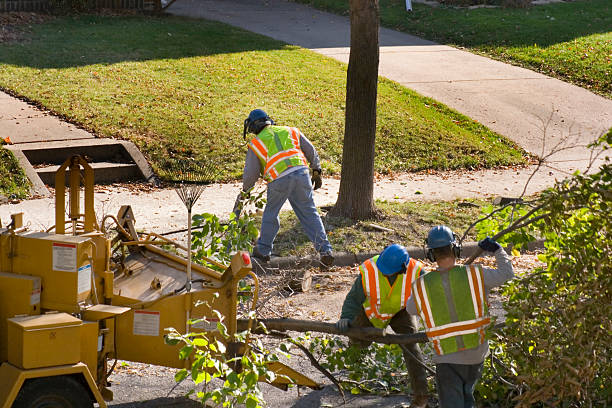 Best Landscape Design and Installation  in Queens Gate, PA