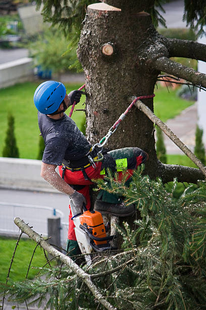 Mulching Services in Queens Gate, PA